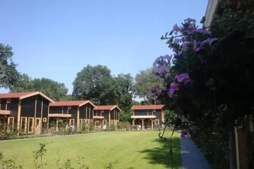 outside
