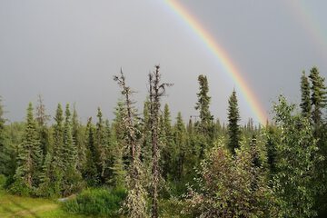 Hiking