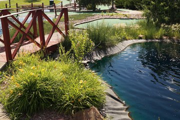 Mini-golf