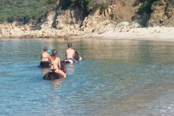 Horseback riding