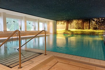 Exercise/lap pool