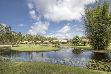 Lake view