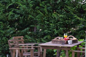 Photo 44