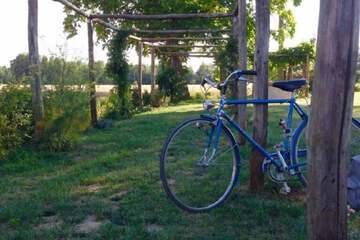 Bicycling