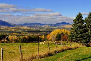 View from property