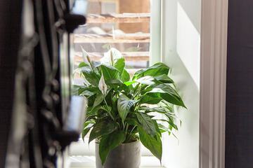 Interior detail