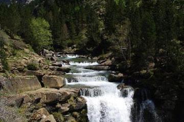 Photo 52