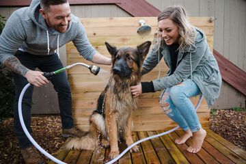 Pet Friendly 103 of 121