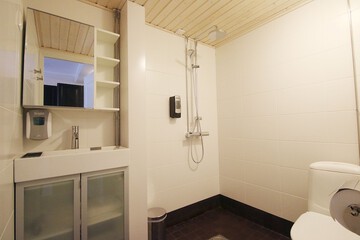 Bathroom shower