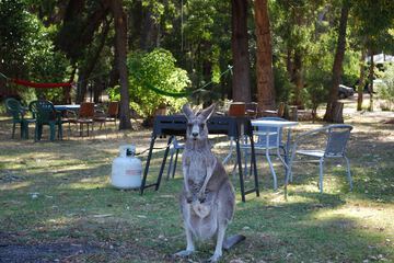 BBQ/picnic area