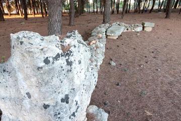 Photo 40