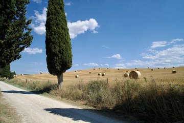 Land view from property