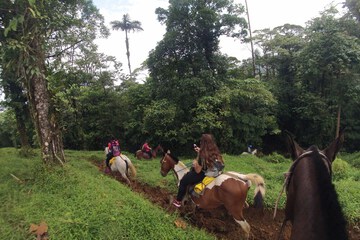 Horseback riding