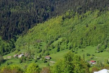 Photo 43