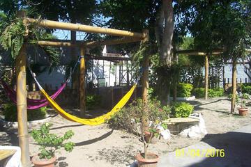 Photo 24