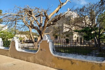 Photo 43