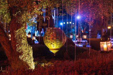 Outdoor wedding area