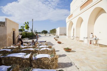 Outdoor wedding area