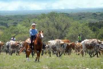 Horseback riding