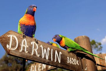 Children's activities