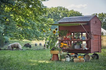 Children's activities