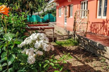 Photo 28