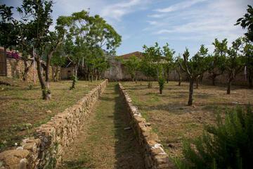 Photo 29