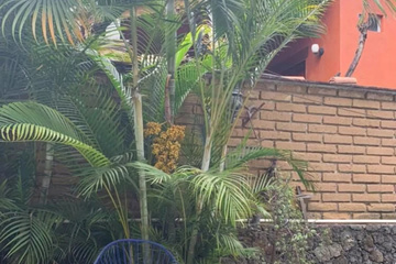 outside