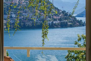 Lake view