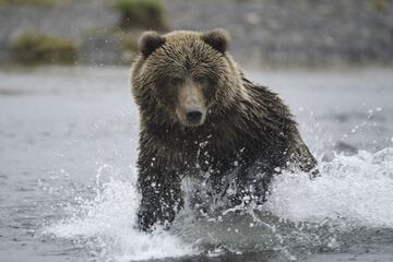 Helicopter/plane tours