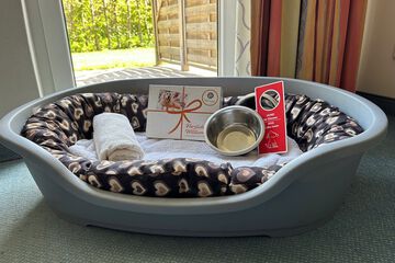 Pet-friendly