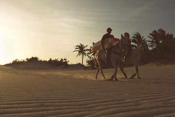 Horseback riding
