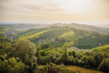 Land view from property