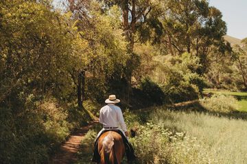 Horseback riding