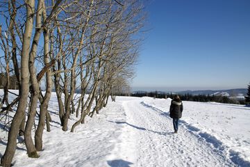 Hiking