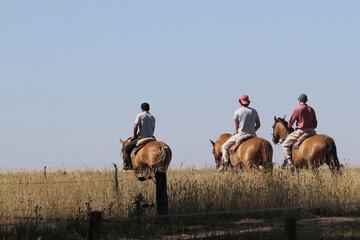 Horseback riding