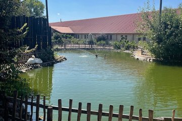 Lake