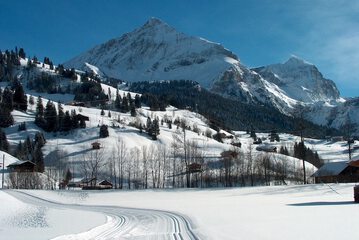 Sledding