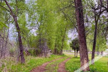 Fitness & Recreational Facilities