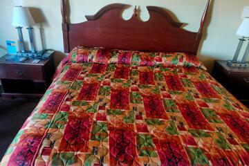 Photo 24