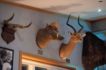 Interior detail