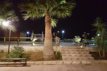 Photo 28