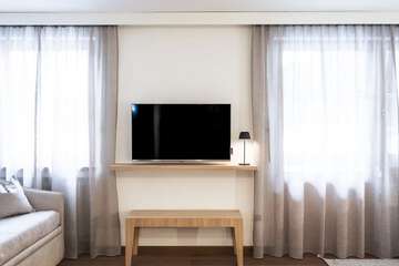 Television