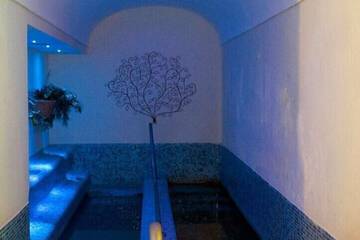 Steam room