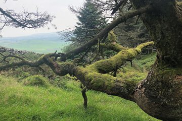 Hiking