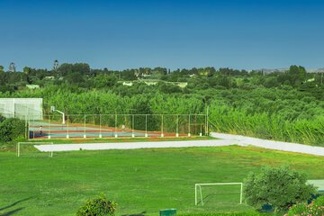 Tennis court