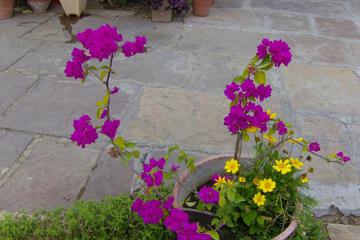 Photo 67