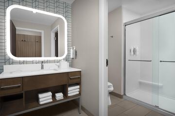 Bathroom shower