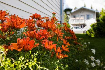Photo 35