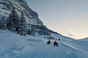 Sledding